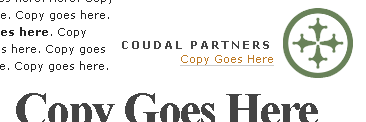 Copy Goes Here - Coudal
